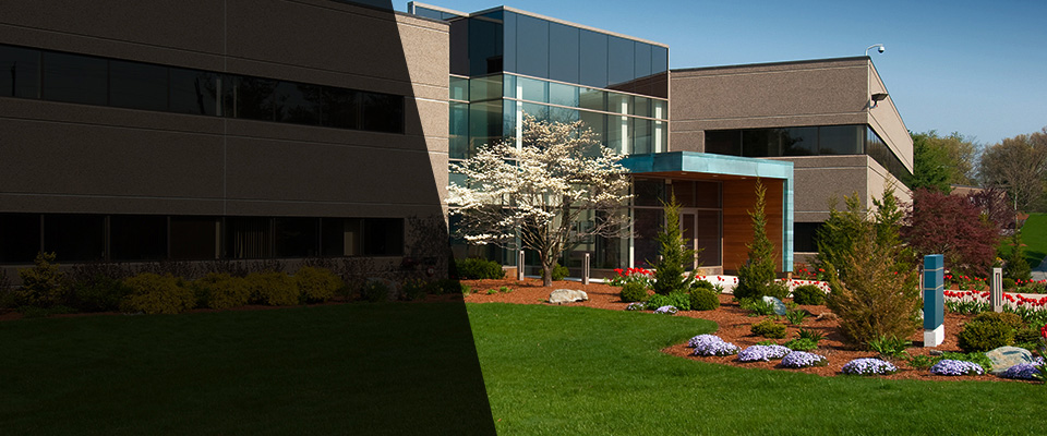 Saint Marys Landscapers